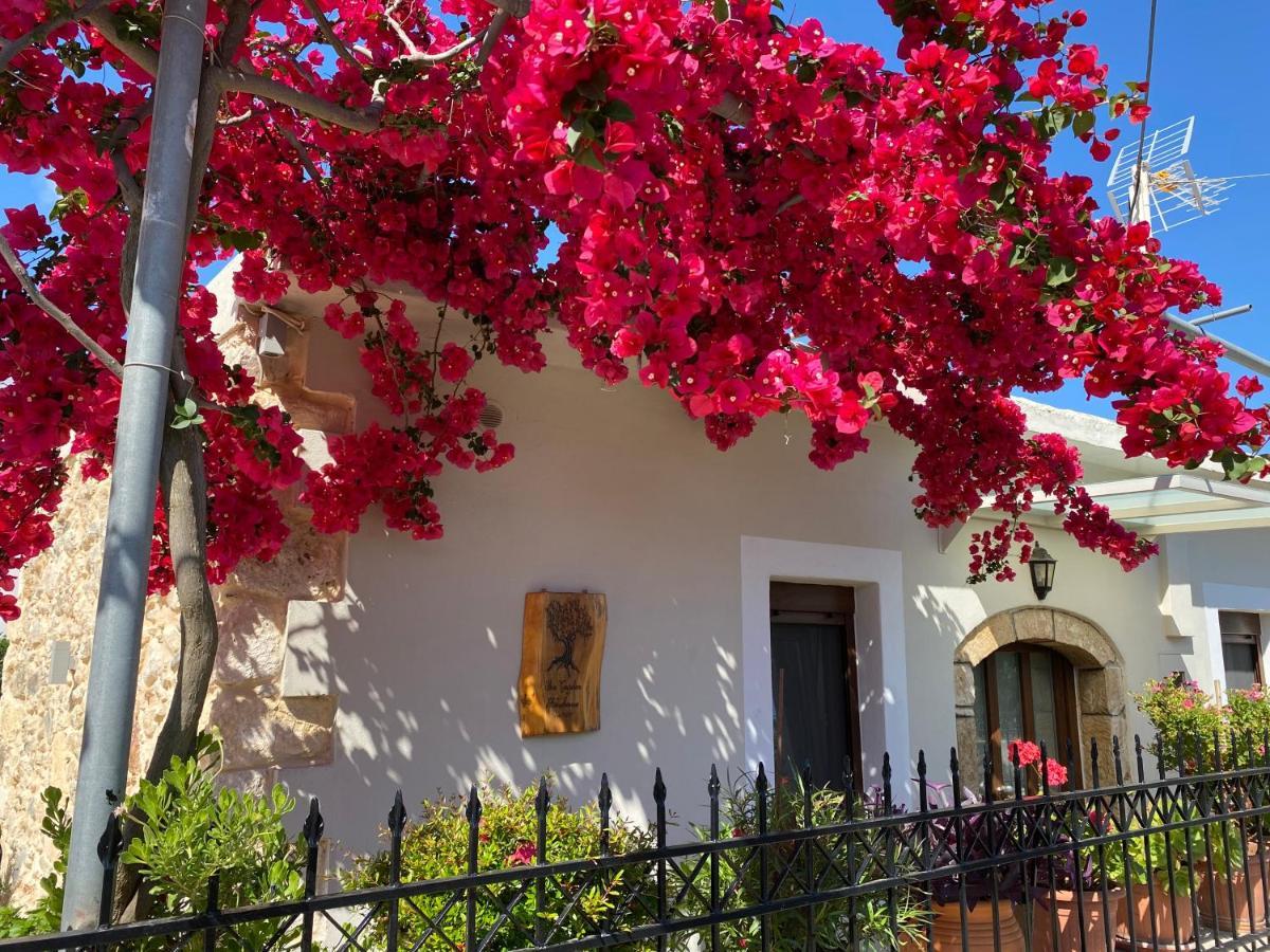Bio Garden Stonehouse Βίλα Γωνιά Εξωτερικό φωτογραφία
