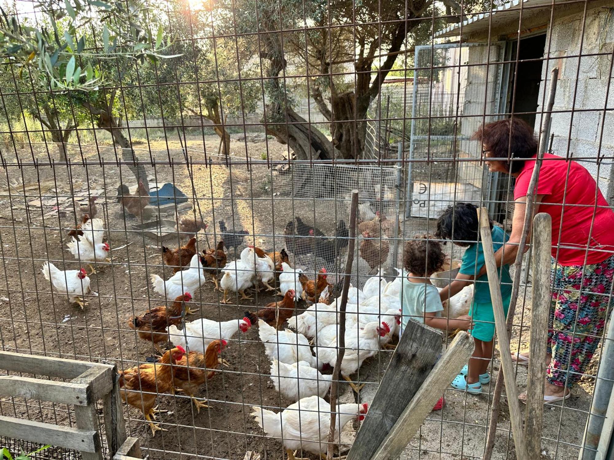 Bio Garden Stonehouse Βίλα Γωνιά Εξωτερικό φωτογραφία